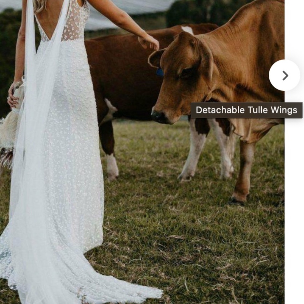 DETACHABLE TULLE WINGS MADE WITH LOVE - Picture 5 of 6